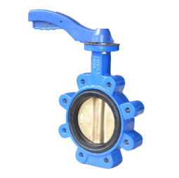 Lug butterfly valve