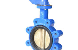 Lug butterfly valve